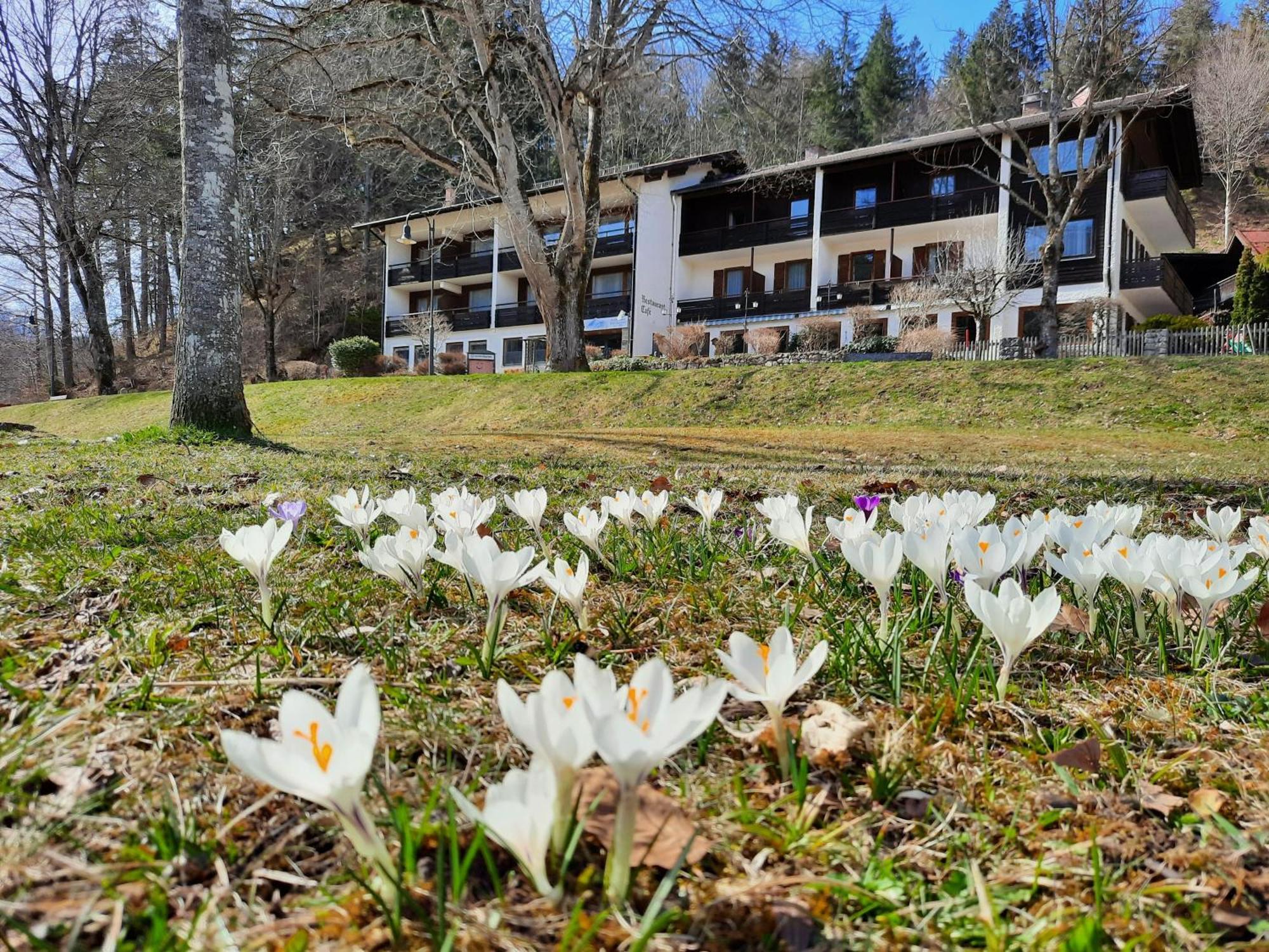 Hotel Ruchti - Zeit Fuer Mich Fussen Luaran gambar